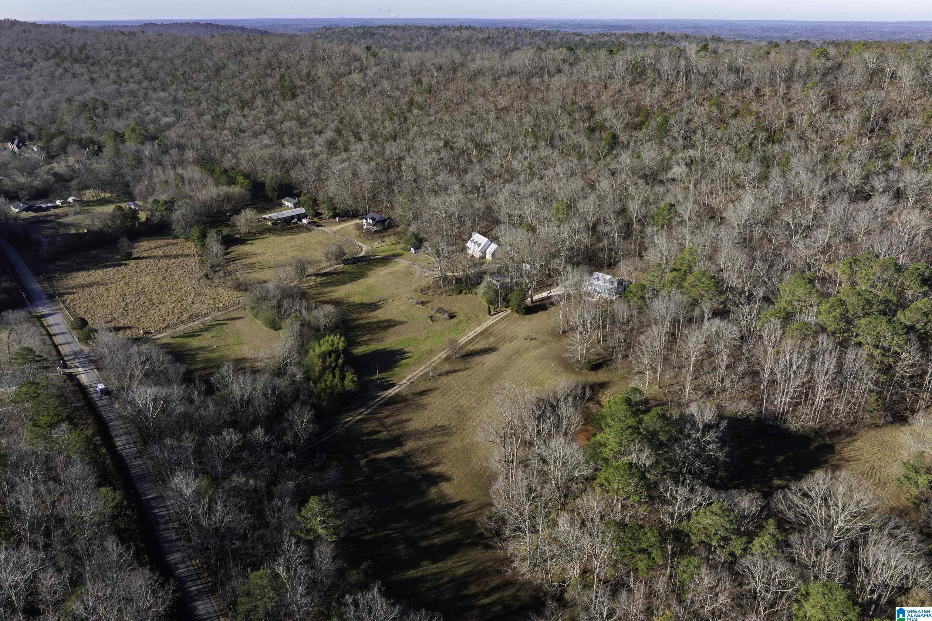 1775 Red Valley Road Remlap, AL 35133 - Photo 42 of 56