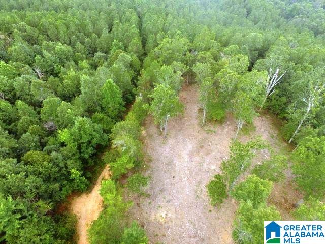 22-acres Clairmont Springs Road, Unit 22 ACRES Lineville, AL 36266 - Photo 7 of 16