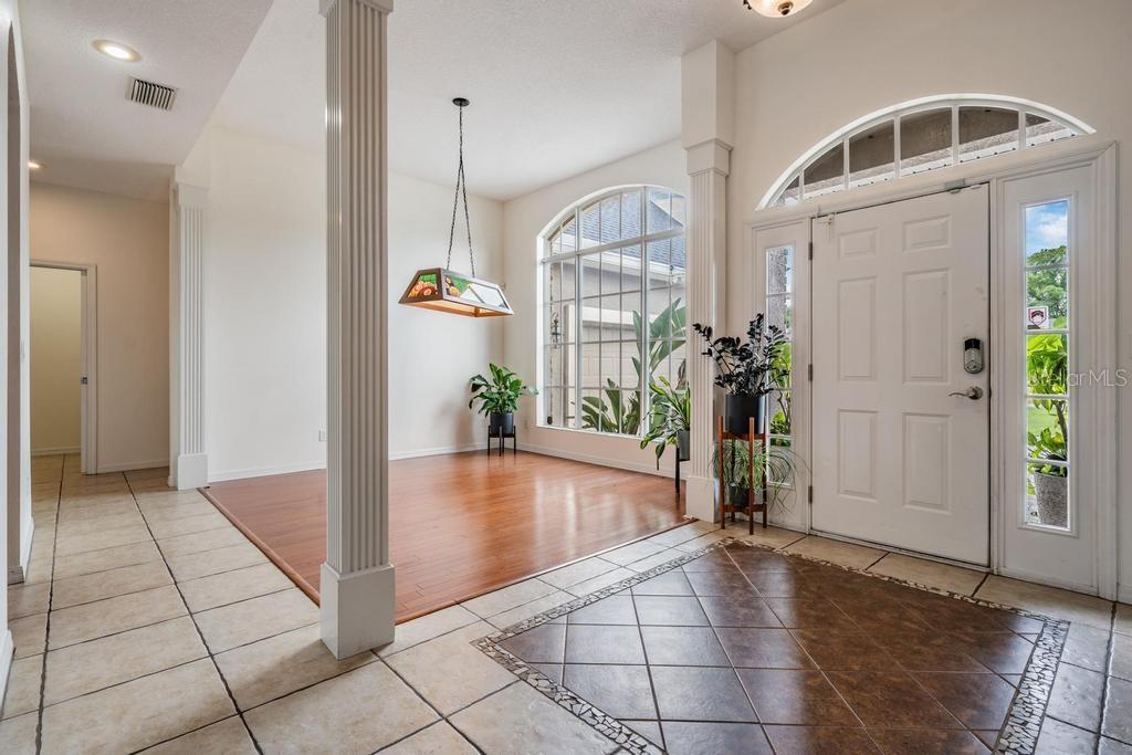 22519 Southshore Drive Land O' Lakes, FL 34639 - Photo 15 of 62 Gallery Image 15