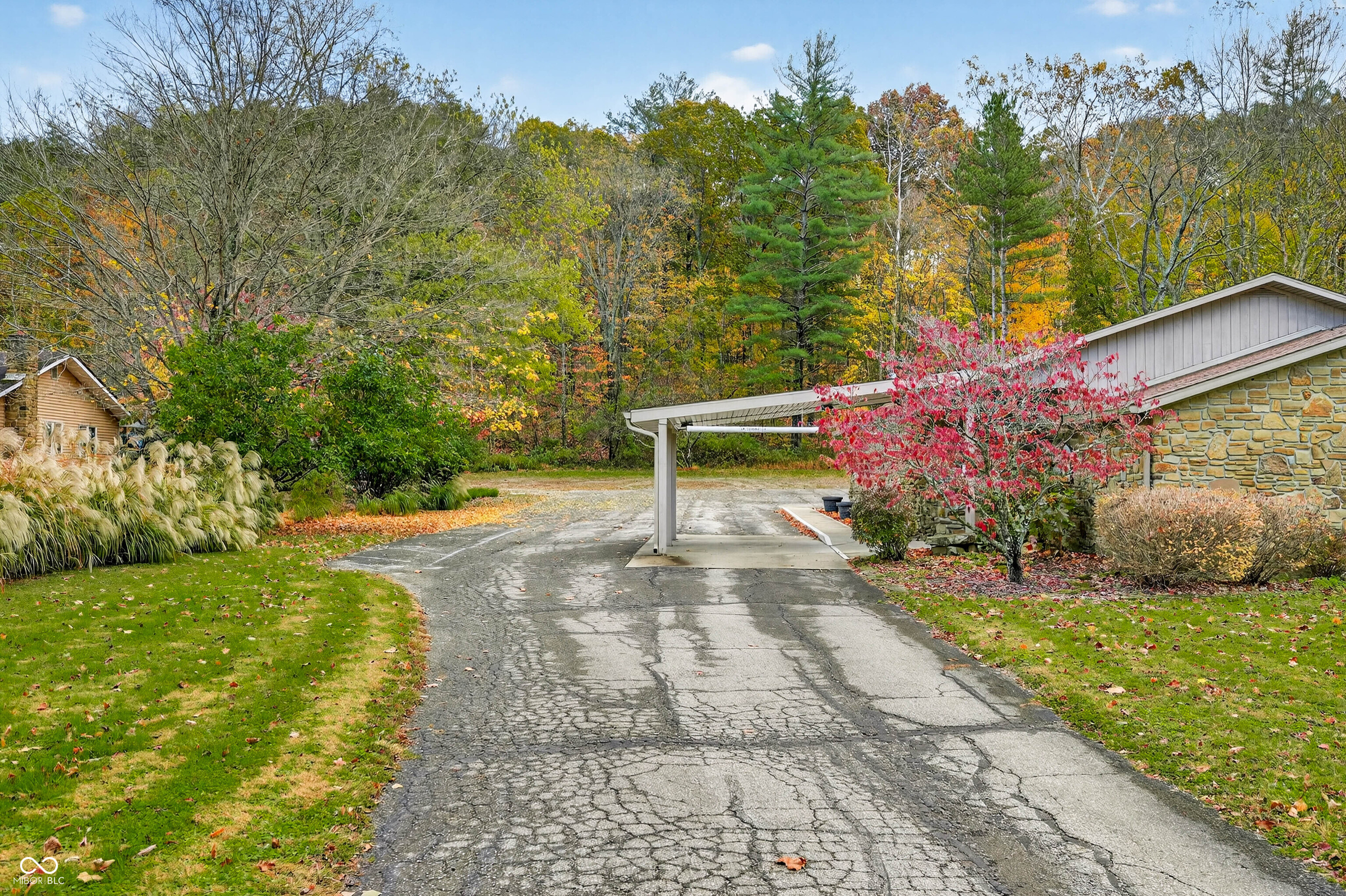 2123 Greasy Creek Road Nashville, IN 47448 - Photo 4 of 53