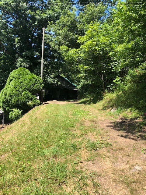 31 Bear Fork Road Gay, WV 25244 - Photo 11 of 38 Gallery Image 11