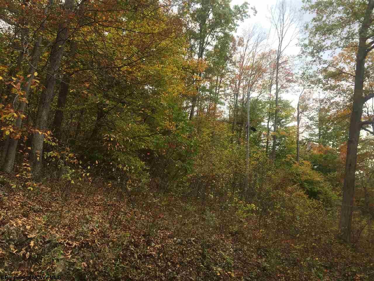 Tbd Tbd Ridge Masontown, WV 26542 - Photo 6 of 11 Gallery Image 6
