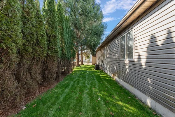 a view of a backyard with plants and large trees