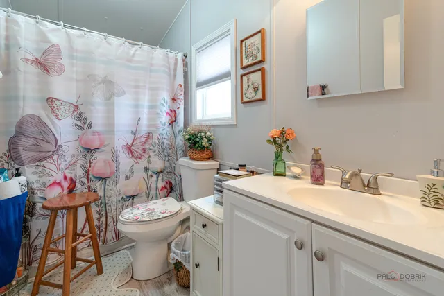 a bathroom with a sink mirror and toilet
