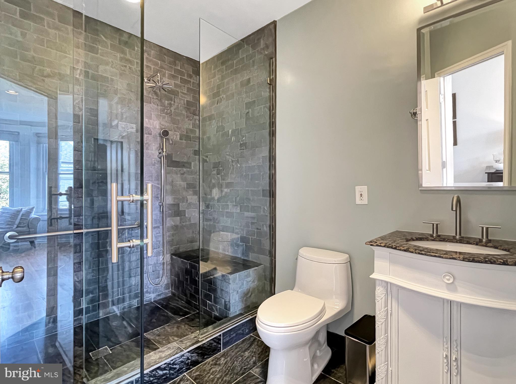 56 R Street Northwest Washington, DC 20001 - Photo 24 of 64 Primary BA features soapstone tile
