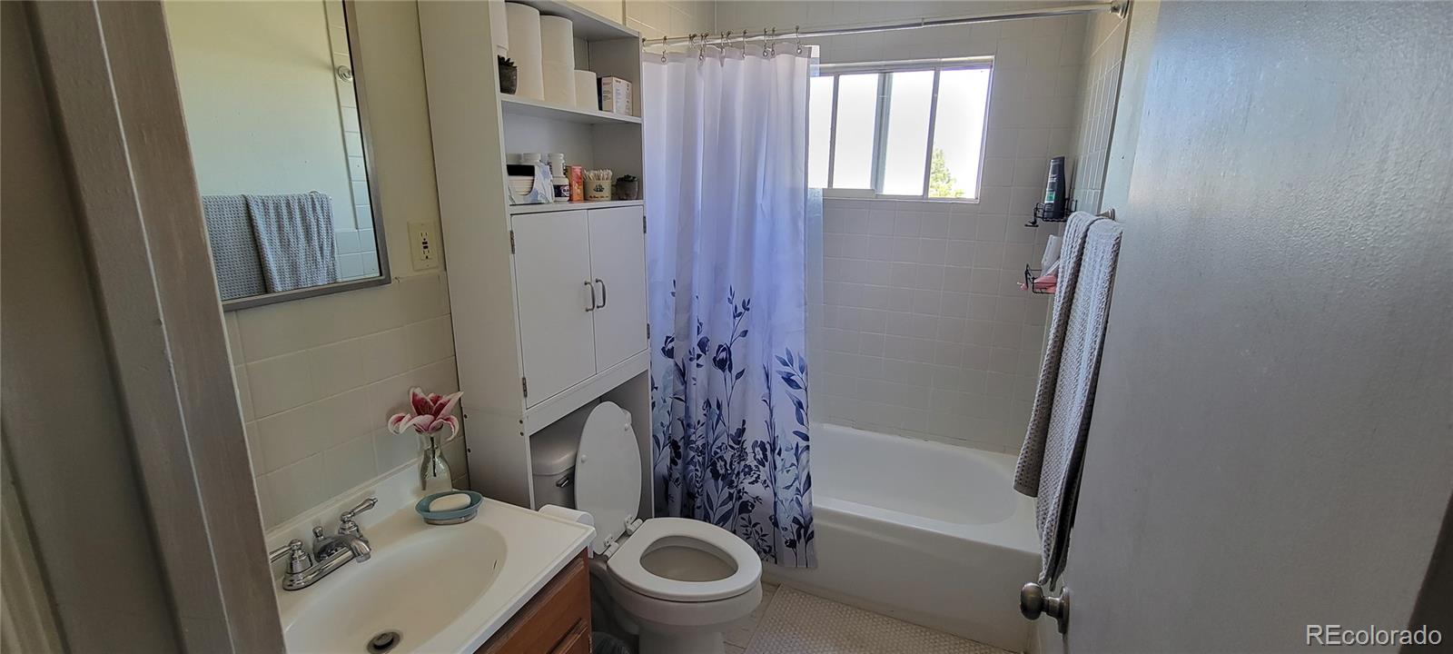 8246 Manitou Springs Road Blanca, CO 81123 - Photo 27 of 43 a bathroom with a sink a toilet and shower