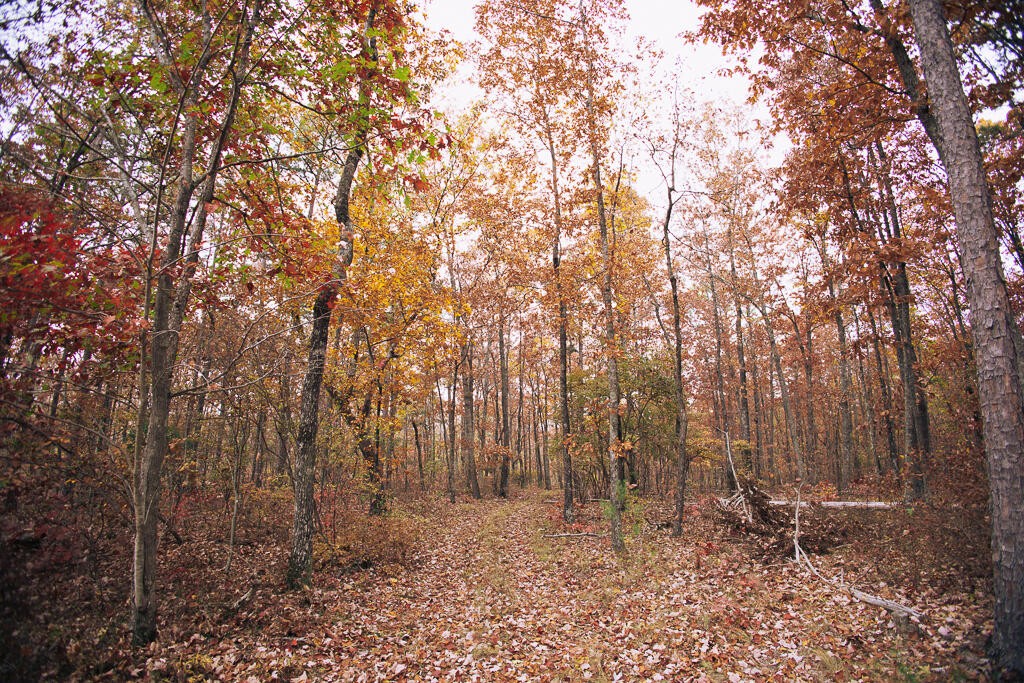 0 Reed Lane Soddy-Daisy, TN 37379 - Photo 14 of 47 Gallery Image 14