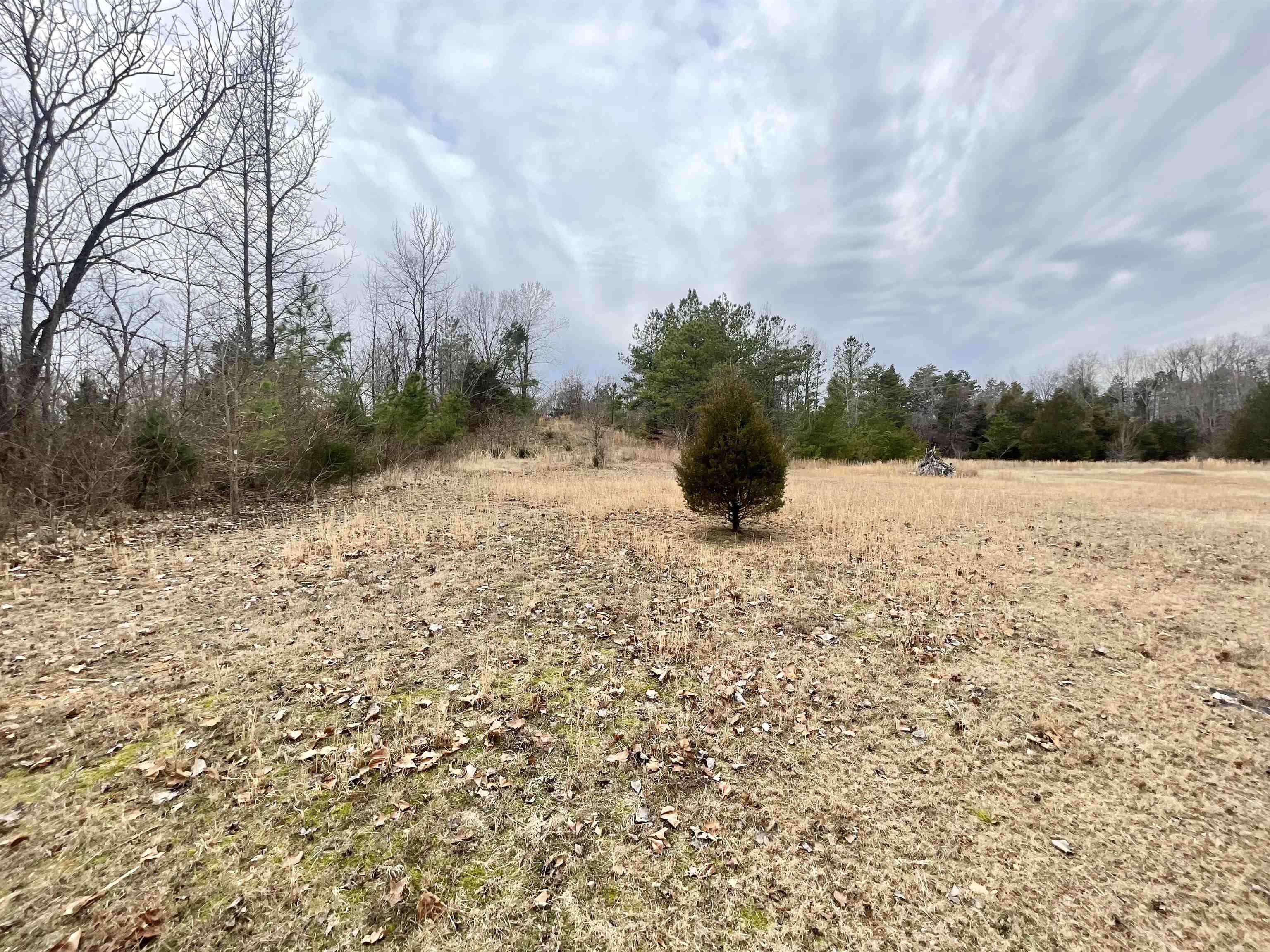 Old Union Road Adamsville, TN 38310 - Photo 2 of 7 a view of a yard with trees in the background