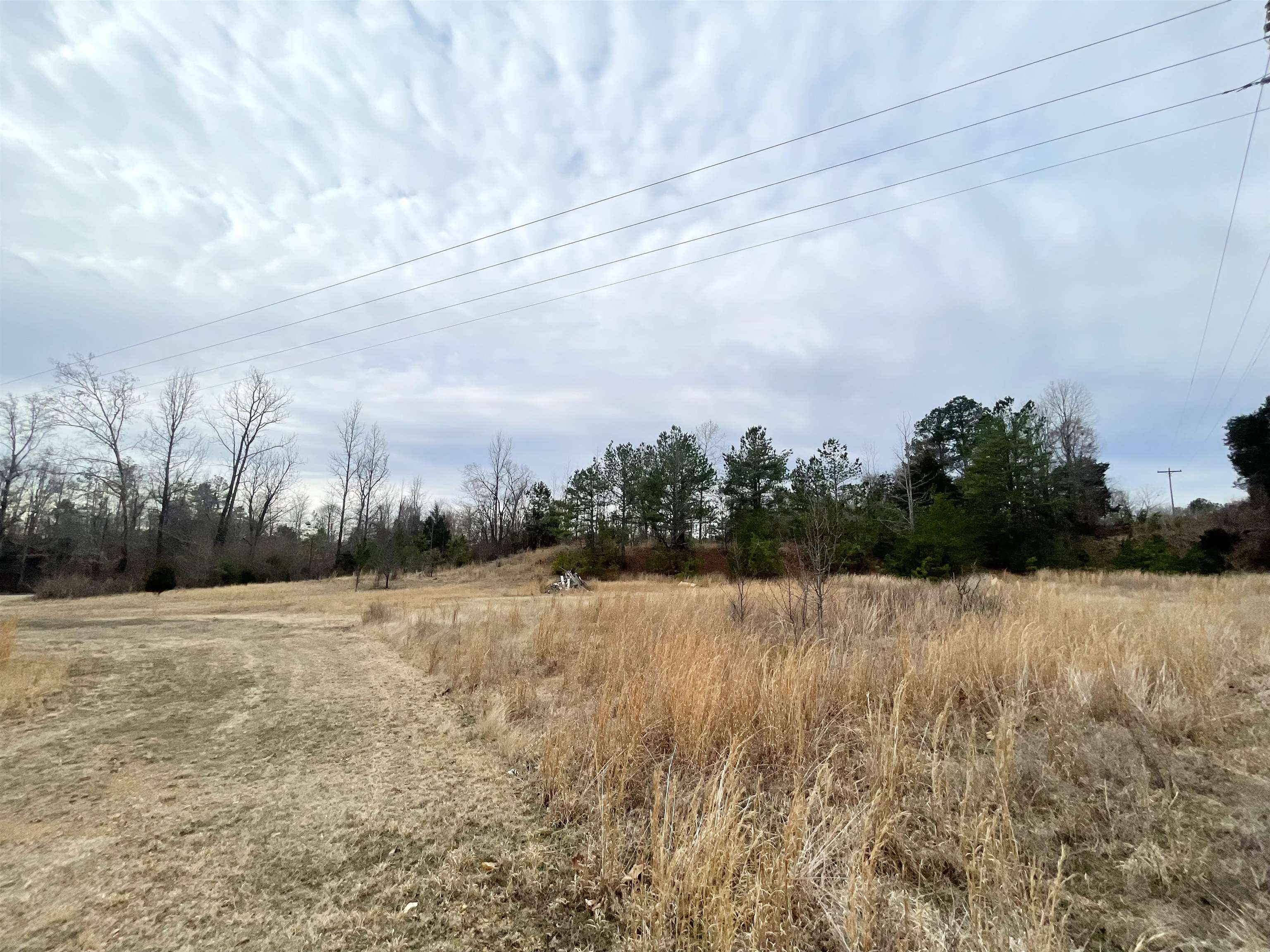 Old Union Road Adamsville, TN 38310 - Photo 4 of 7 a view of an outdoor space and a yard