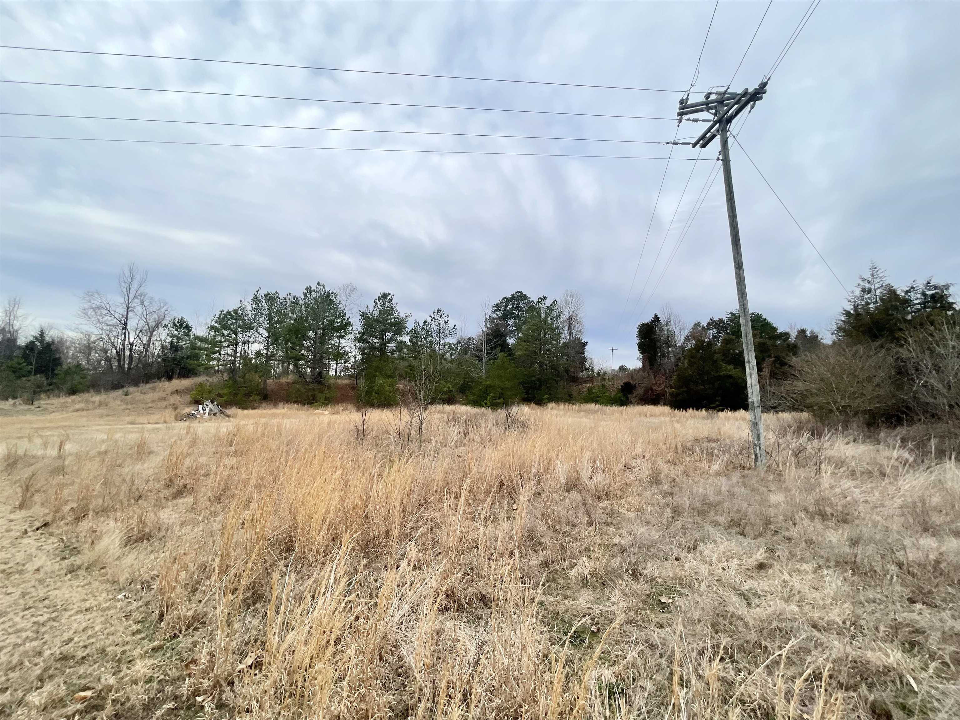 Old Union Road Adamsville, TN 38310 - Photo 5 of 7 a view of a dry yard
