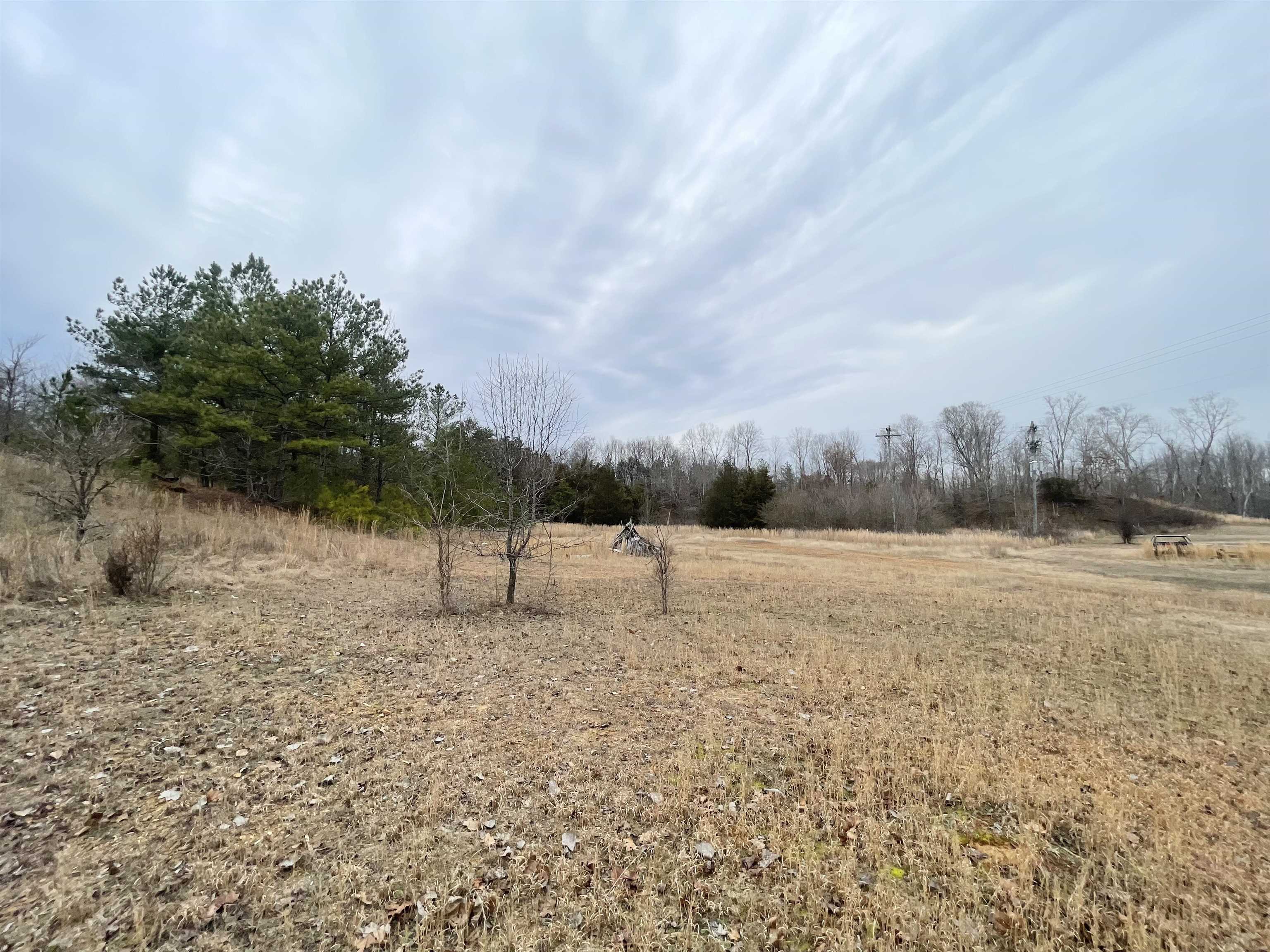 Old Union Road Adamsville, TN 38310 - Photo 6 of 7 a view of lake view and mountain view