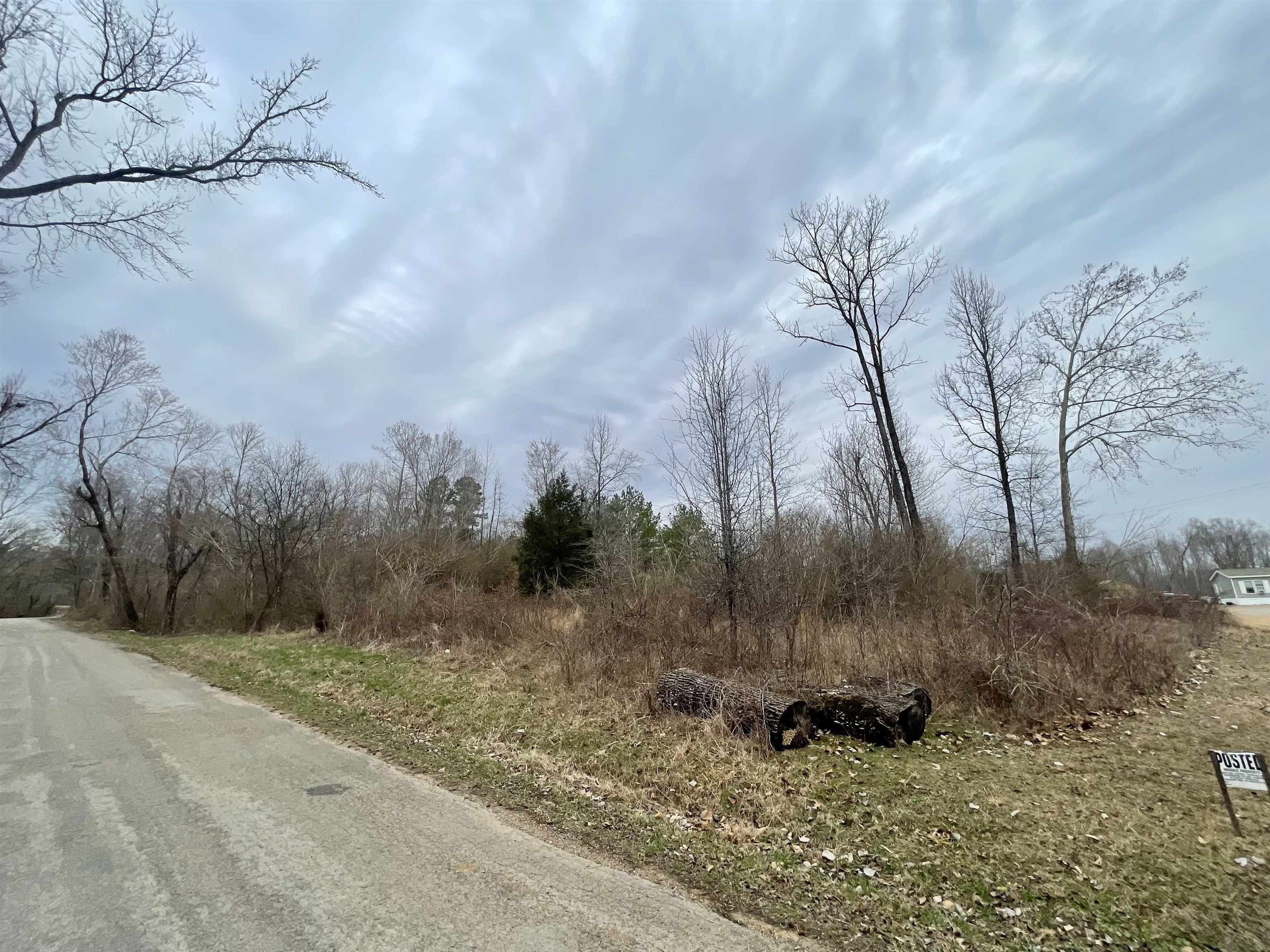Old Union Road Adamsville, TN 38310 - Photo 7 of 7 a view of a dry yard with trees