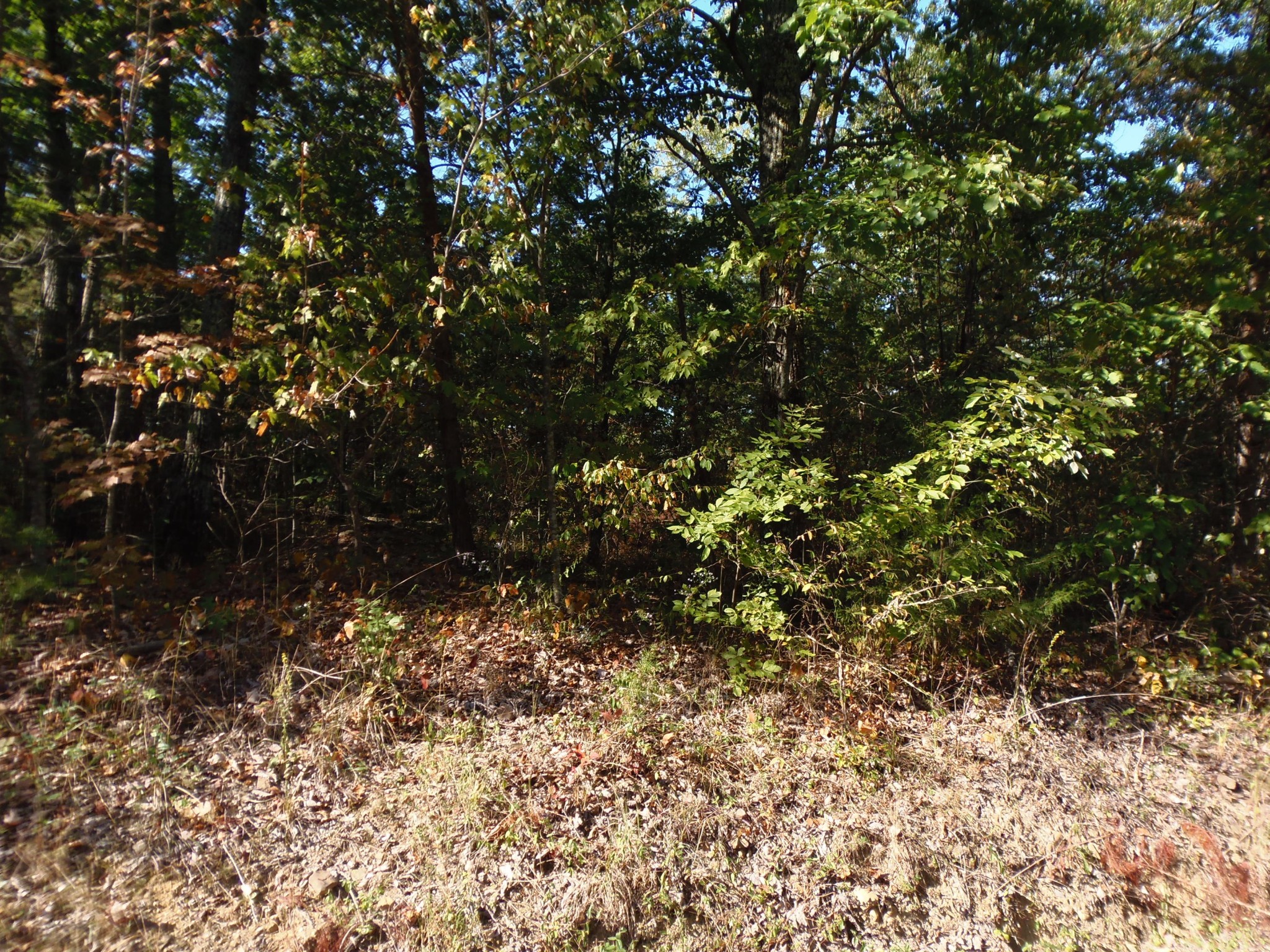 0 Eagle Ridge Road Maryville, TN 37803 - Photo 9 of 14 Gallery Image 9