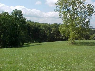 0 Barnes Road, Unit 5 Williamstown, KY 41097 - Photo 2 of 2 Gallery Image 2