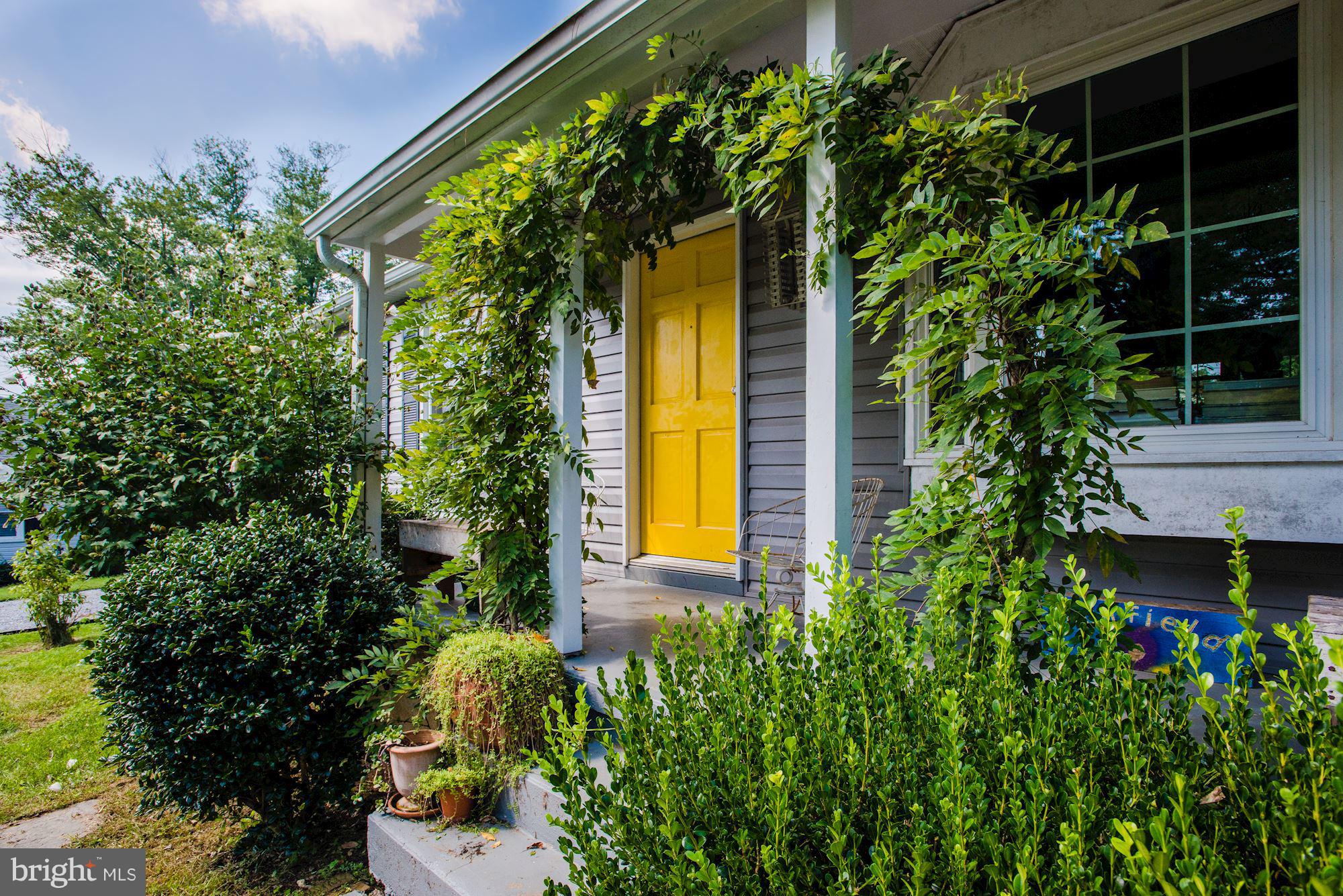 800 Blue Ridge Avenue Middleburg, VA 20117 - Photo 15 of 19 a view of a house with a plants and a tree