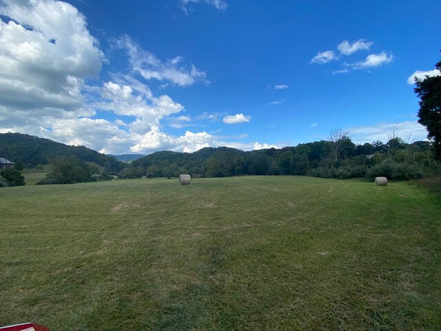 5732 Stanley Valley Road Gate City, VA 24251 - Photo 1 of 20 100