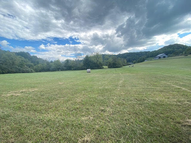 5732 Stanley Valley Road Gate City, VA 24251 - Photo 2 of 20 200