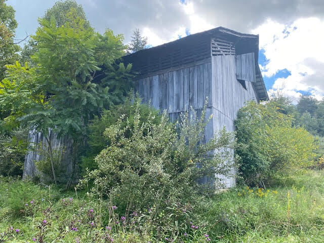 5732 Stanley Valley Road Gate City, VA 24251 - Photo 4 of 20 Barn