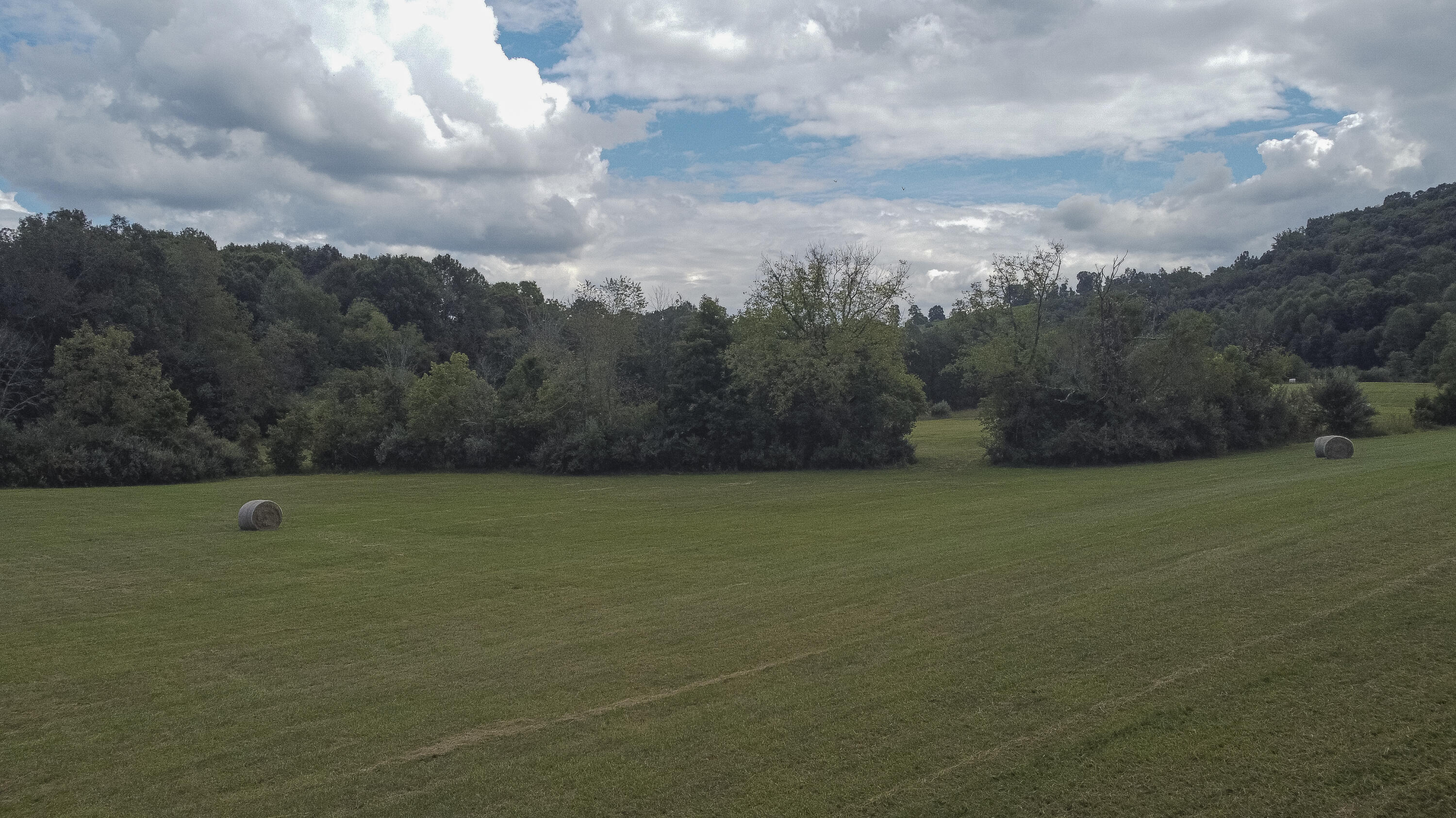 5732 Stanley Valley Road Gate City, VA 24251 - Photo 6 of 20 DJI_0492