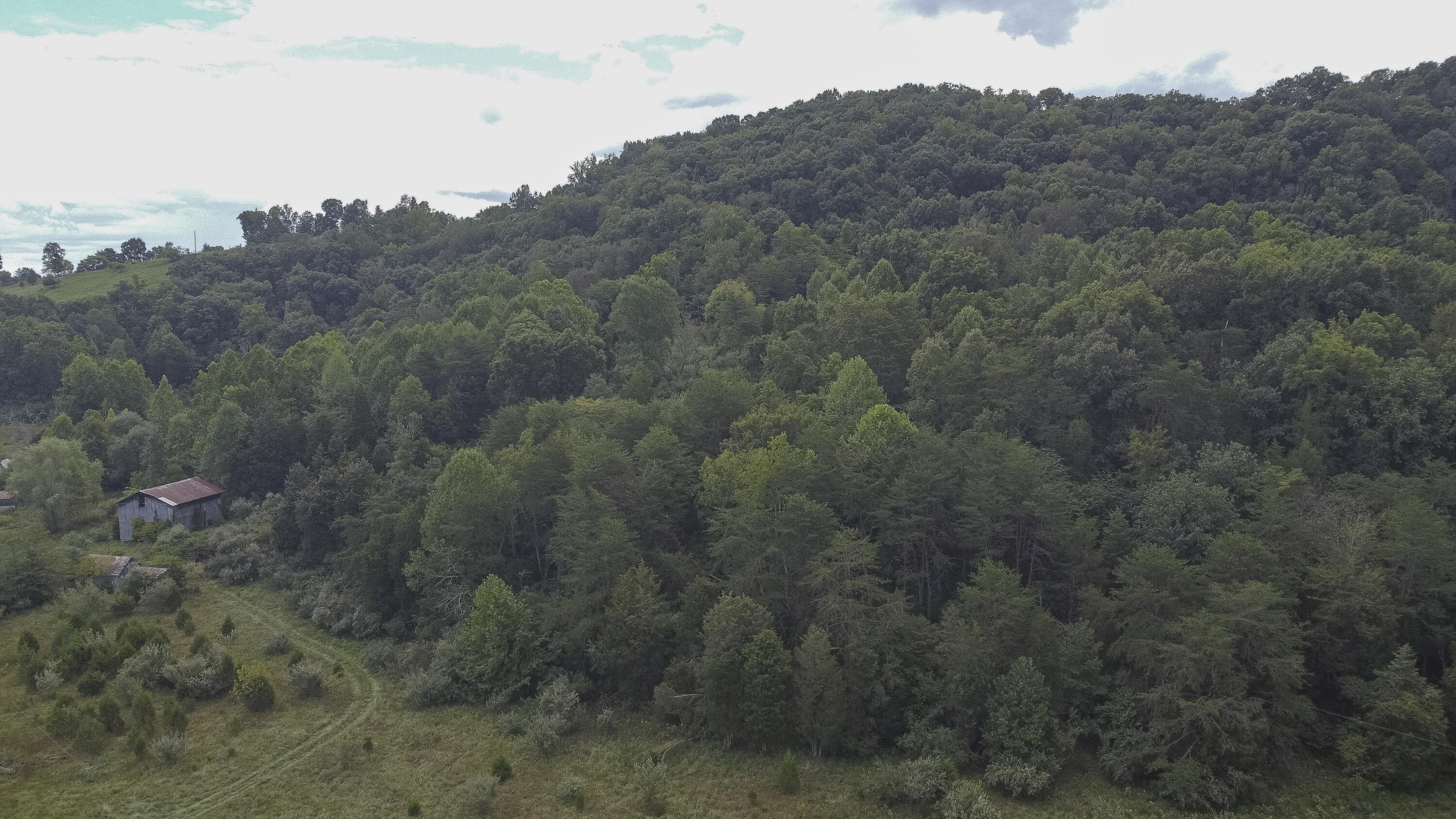 5732 Stanley Valley Road Gate City, VA 24251 - Photo 8 of 20 DJI_0494