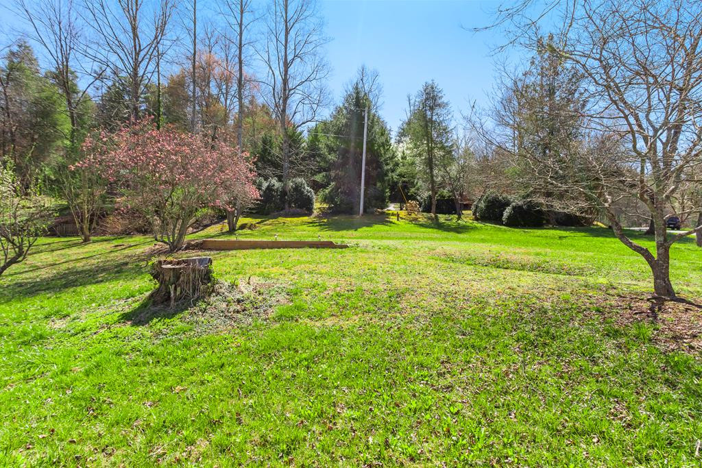 22 Mint Lane Murphy, NC 28906 - Photo 49 of 53