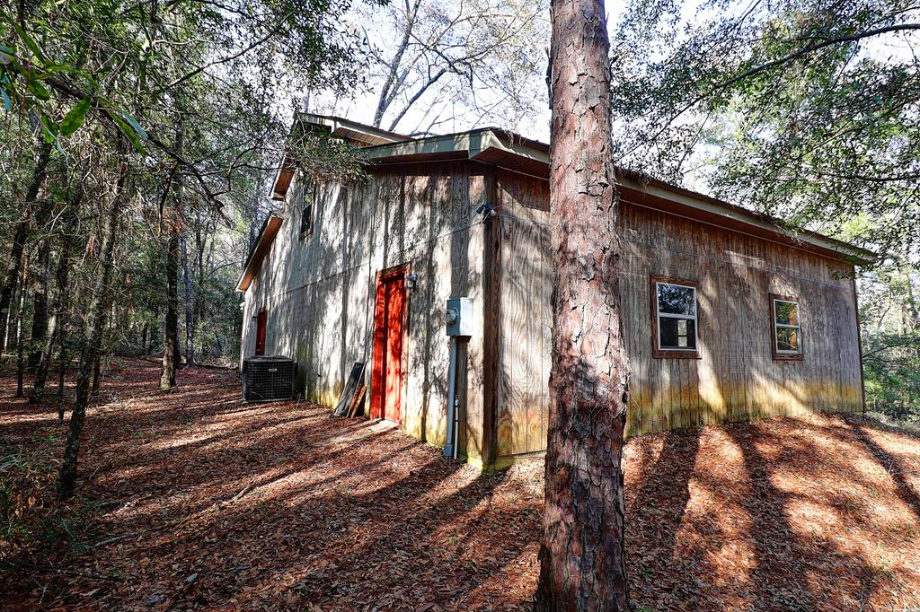 319 County Road Midland City, AL 36350 - Photo 27 of 31