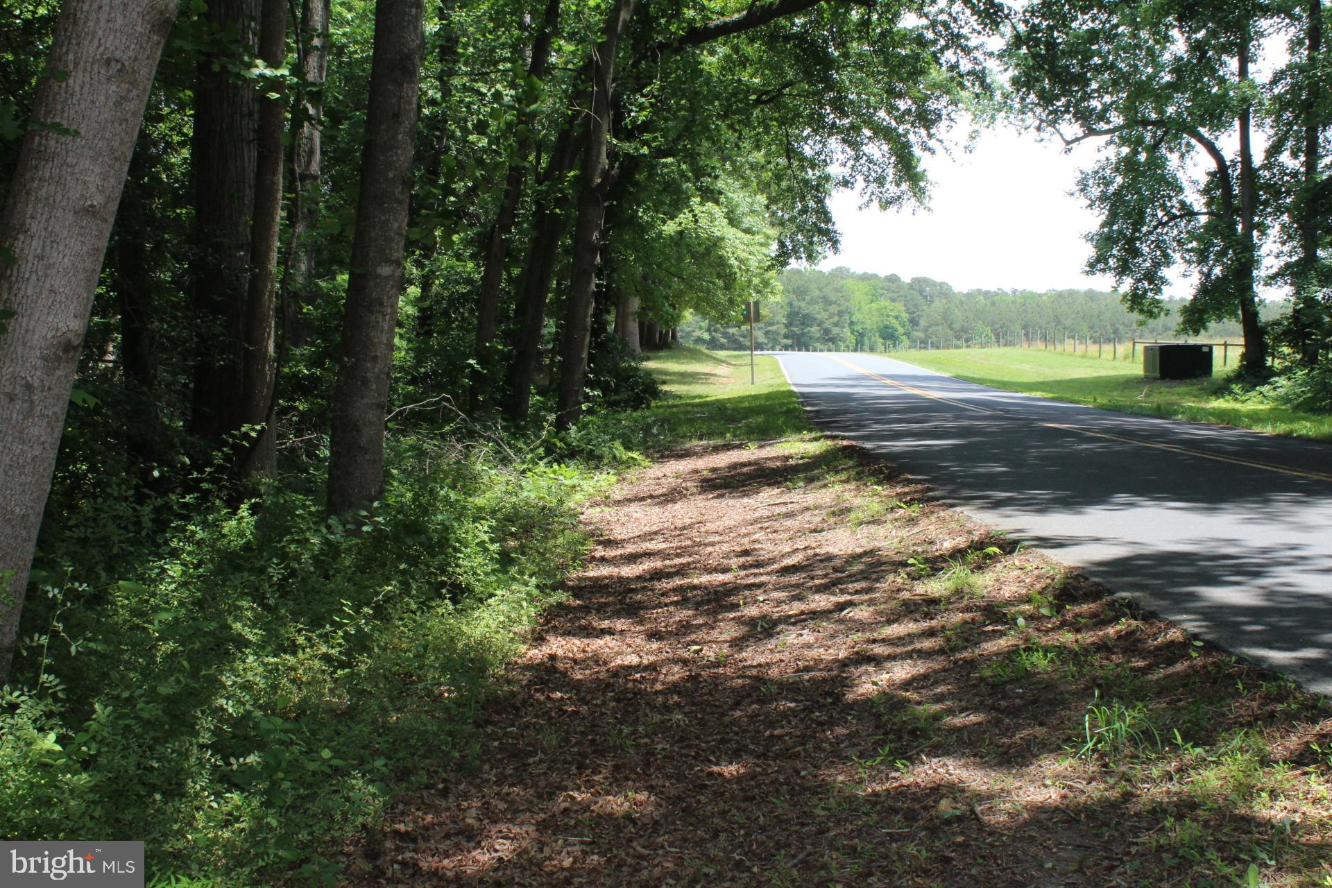 Lot 3 Jackson Road Salisbury, MD 21804 - Photo 12 of 20
