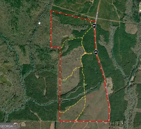 an aerial view of a yard