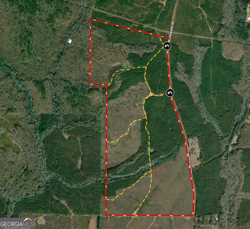 205 Woodard Road Greenville, GA 30222 - Photo 1 of 12 an aerial view of a yard