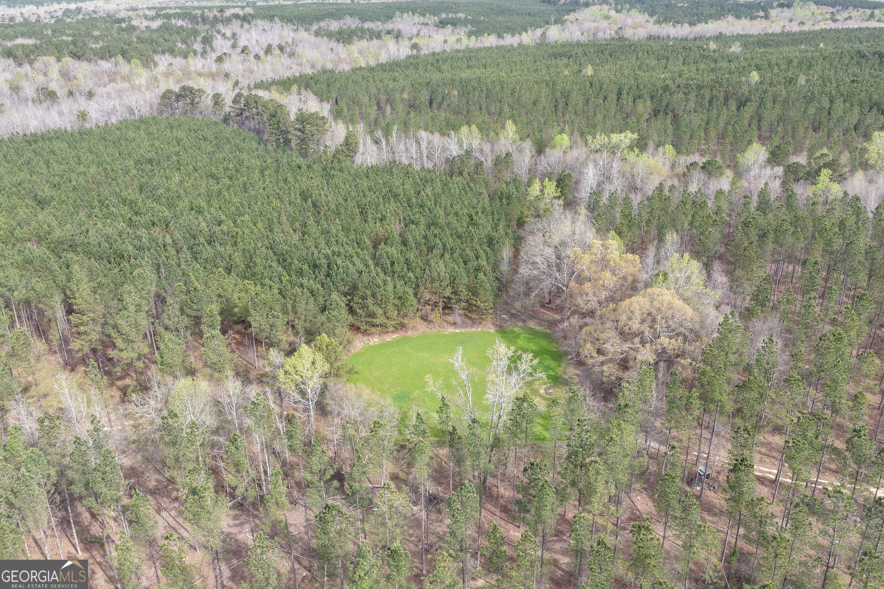 205 Woodard Road Greenville, GA 30222 - Photo 11 of 12 a view of a lake from a yard
