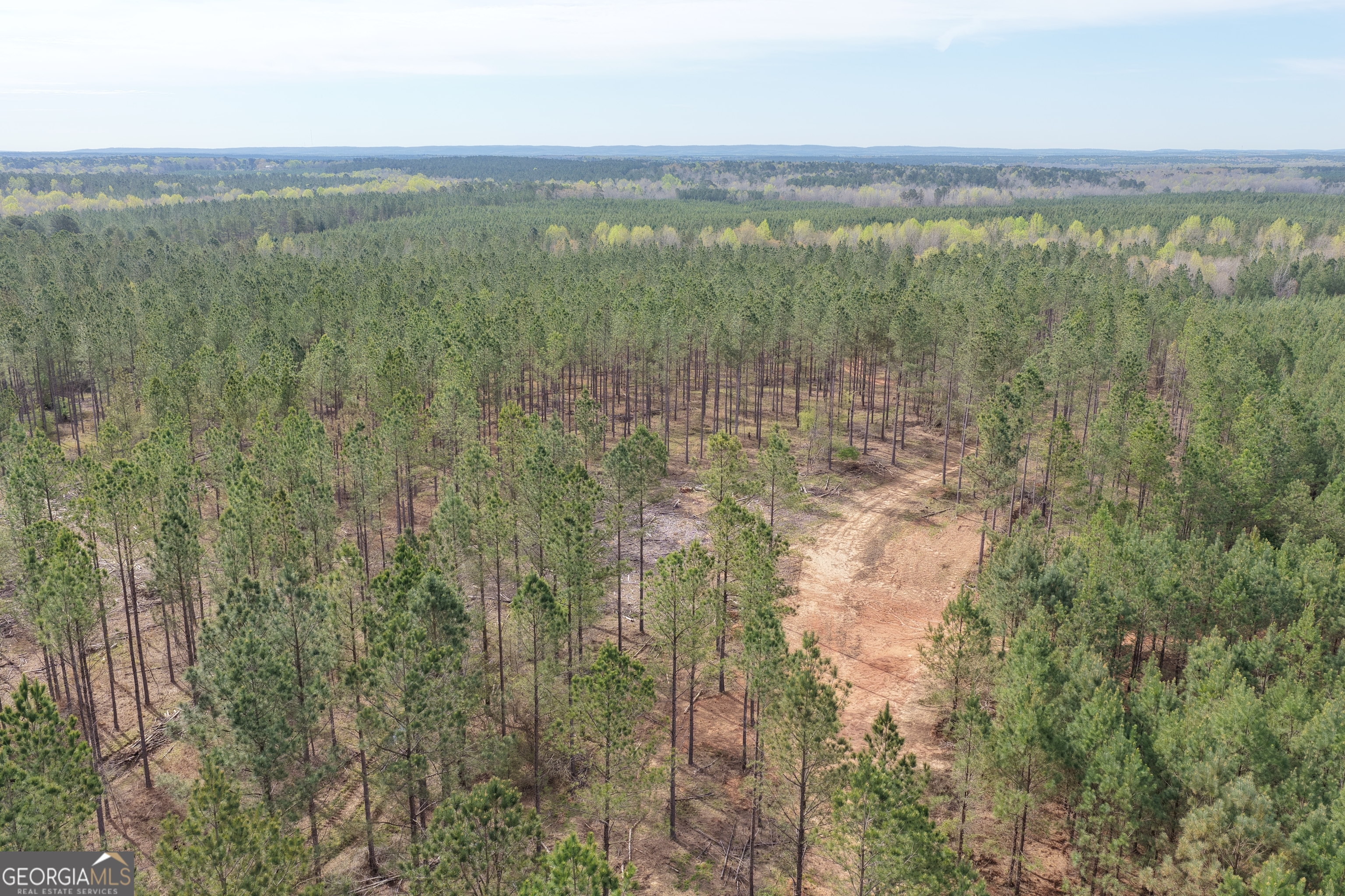 205 Woodard Road Greenville, GA 30222 - Photo 12 of 12 a view of a city with lush green forest
