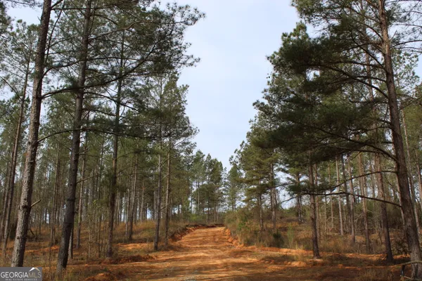 a view of road and trees