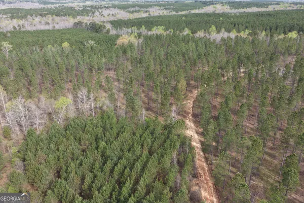 a view of a lake from a yard