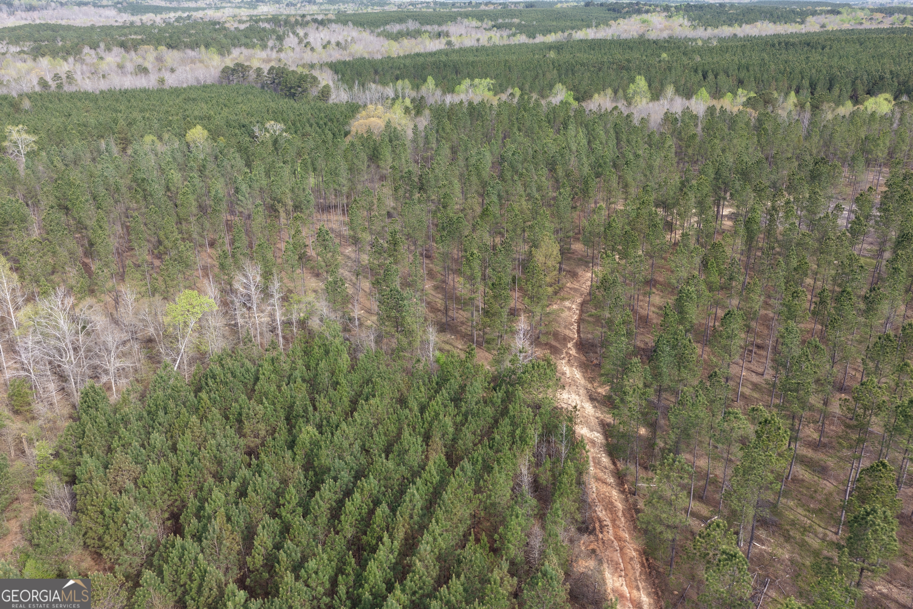205 Woodard Road Greenville, GA 30222 - Photo 3 of 12 a view of a lake from a yard