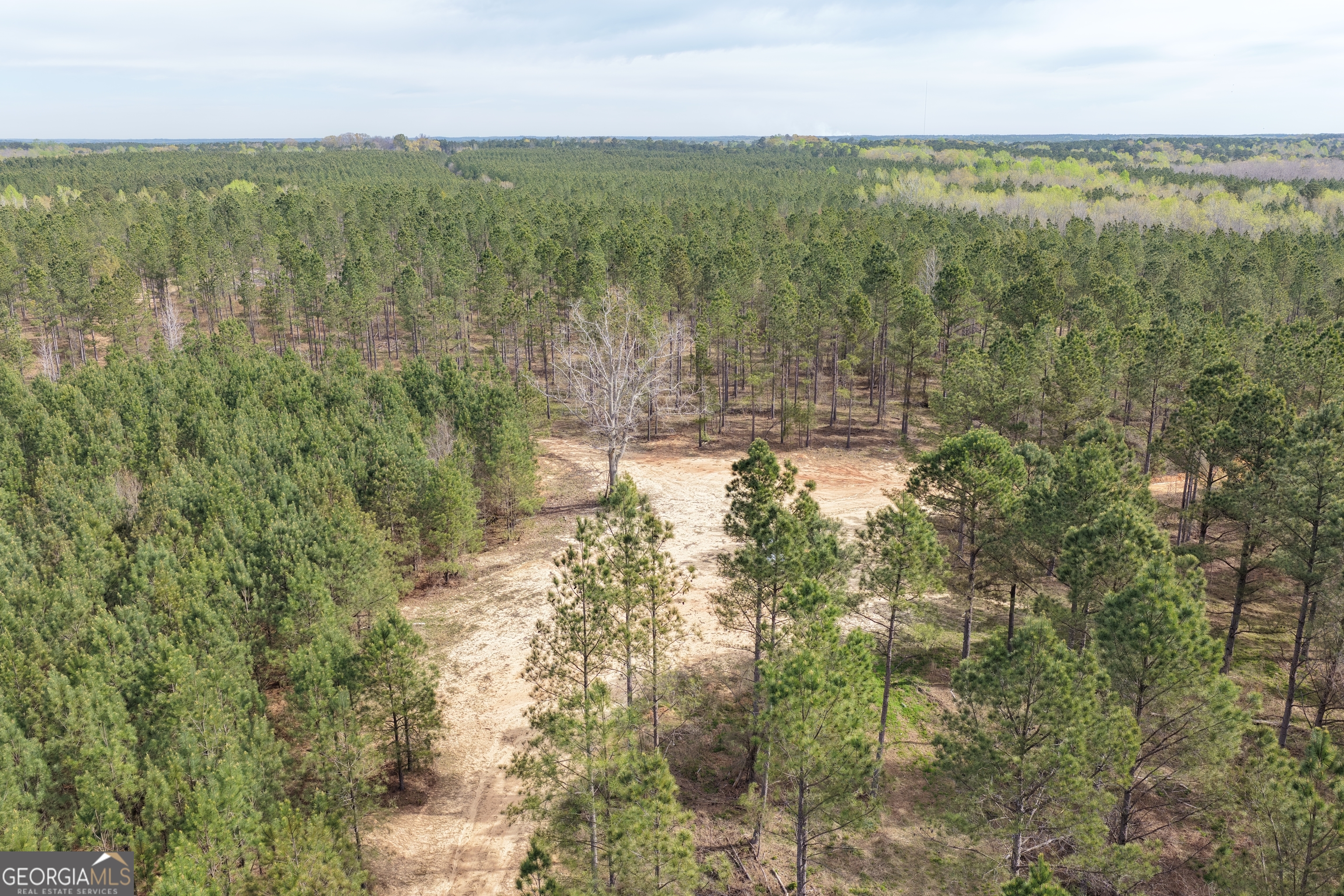 205 Woodard Road Greenville, GA 30222 - Photo 4 of 12 a view of lake and mountain