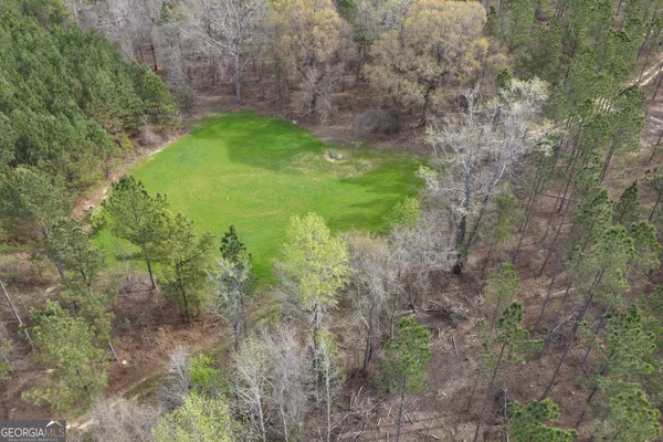 a backyard of a house with lots of plants and trees