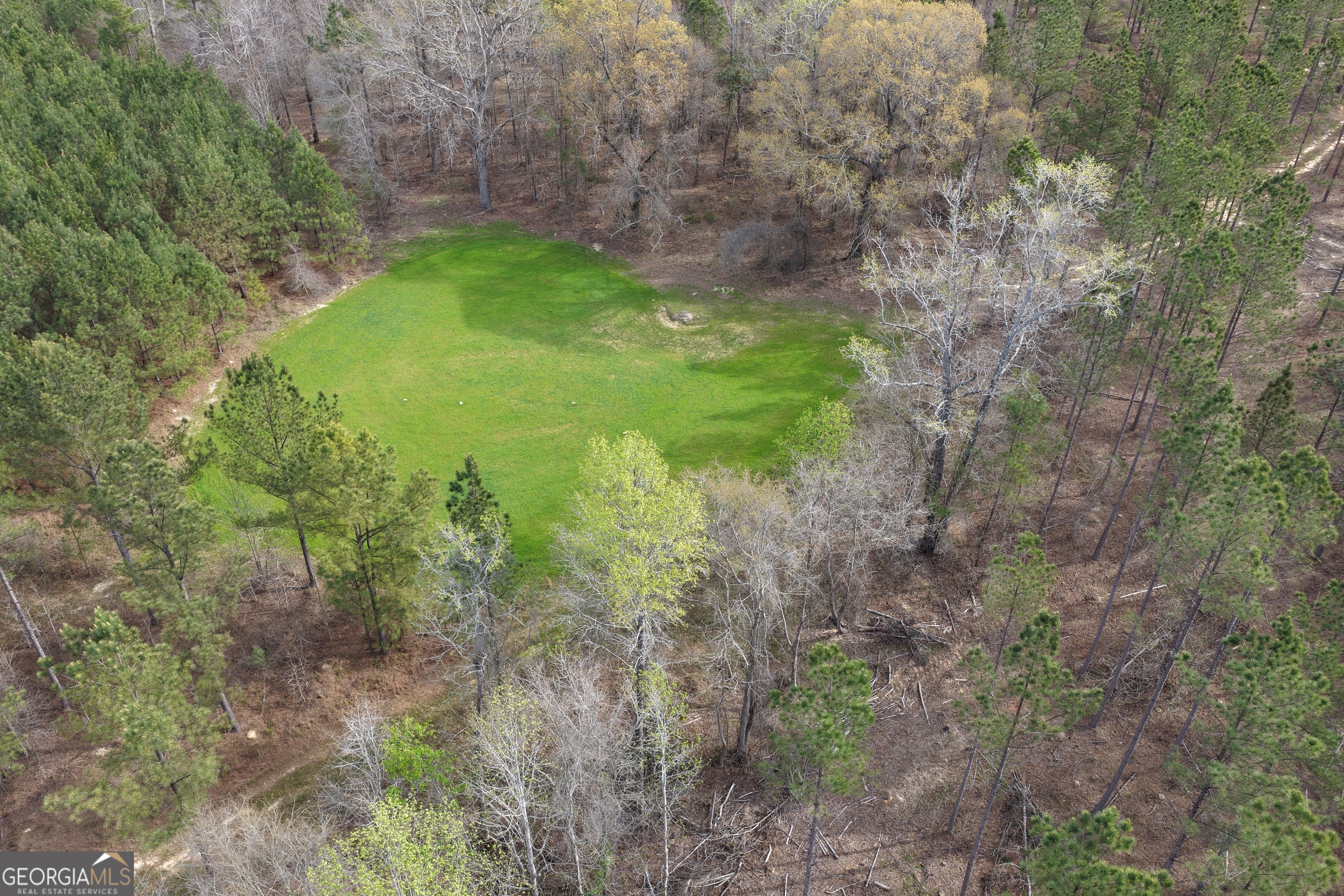 205 Woodard Road Greenville, GA 30222 - Photo 5 of 12 a backyard of a house with lots of plants and trees