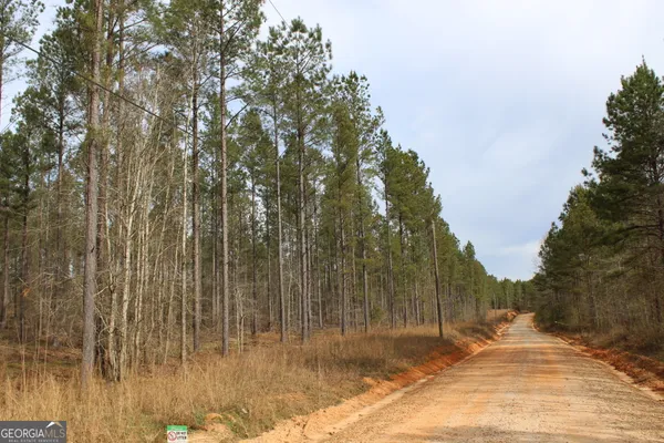 a view of backyard with green space
