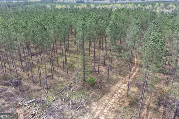 a view of a pathway both side of a road