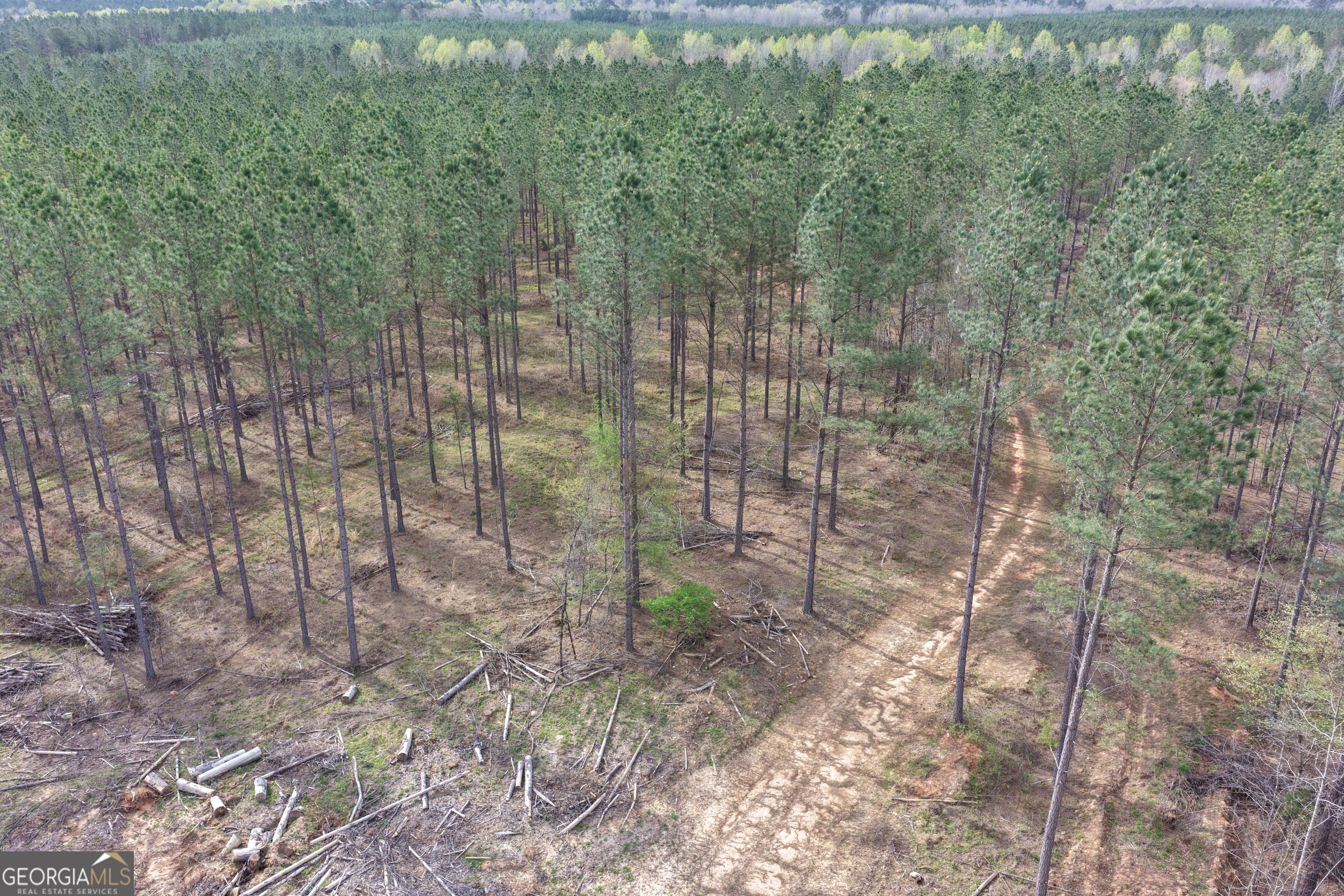 205 Woodard Road Greenville, GA 30222 - Photo 8 of 12 a view of a pathway both side of a road