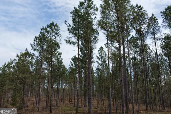 a view of a lake from a yard