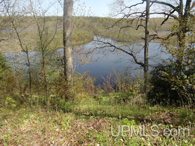 Tbd Autrain Forest Lake Road Au Train, MI 49806 - Photo 1 of 12