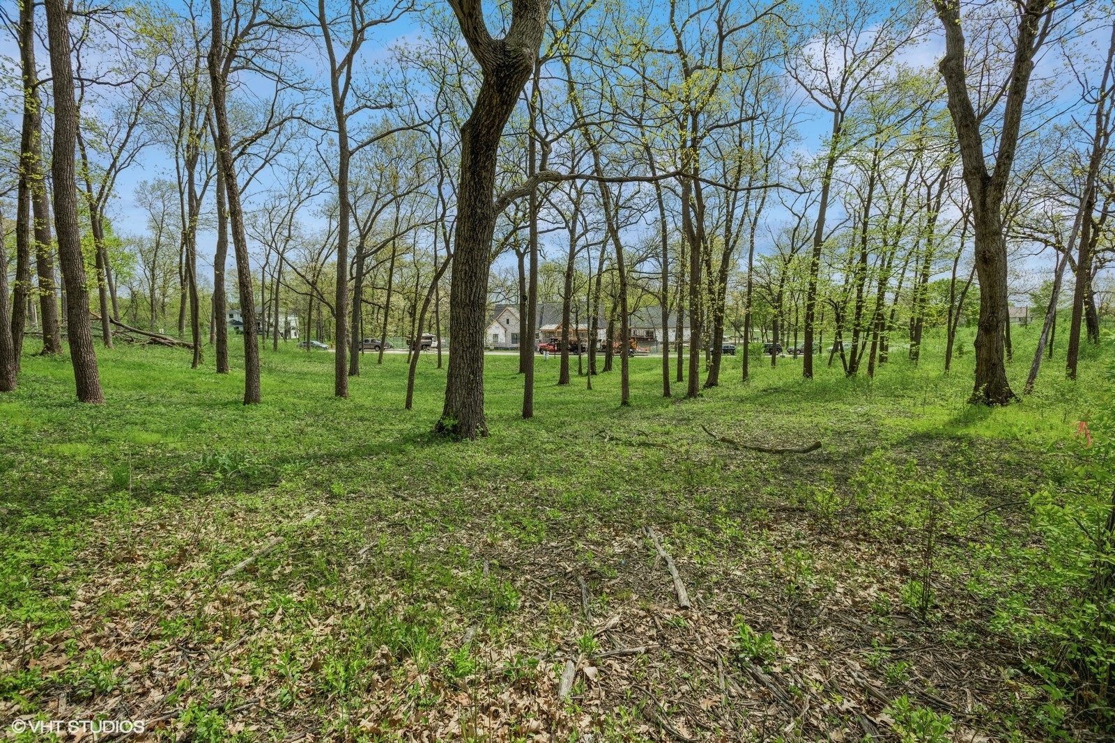 1680 Airdrie Lane Hoffman Estates, IL 60192 - Photo 5 of 13 a view of a park with large trees