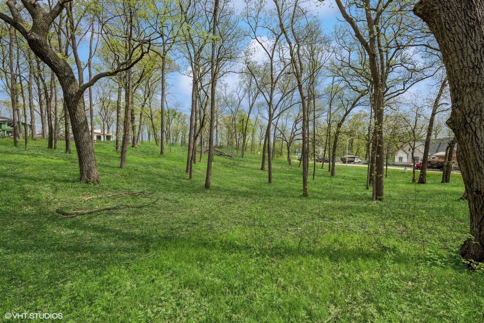 1680 Airdrie Lane Hoffman Estates, IL 60192 - Photo 6 of 13 a view of a park with large trees
