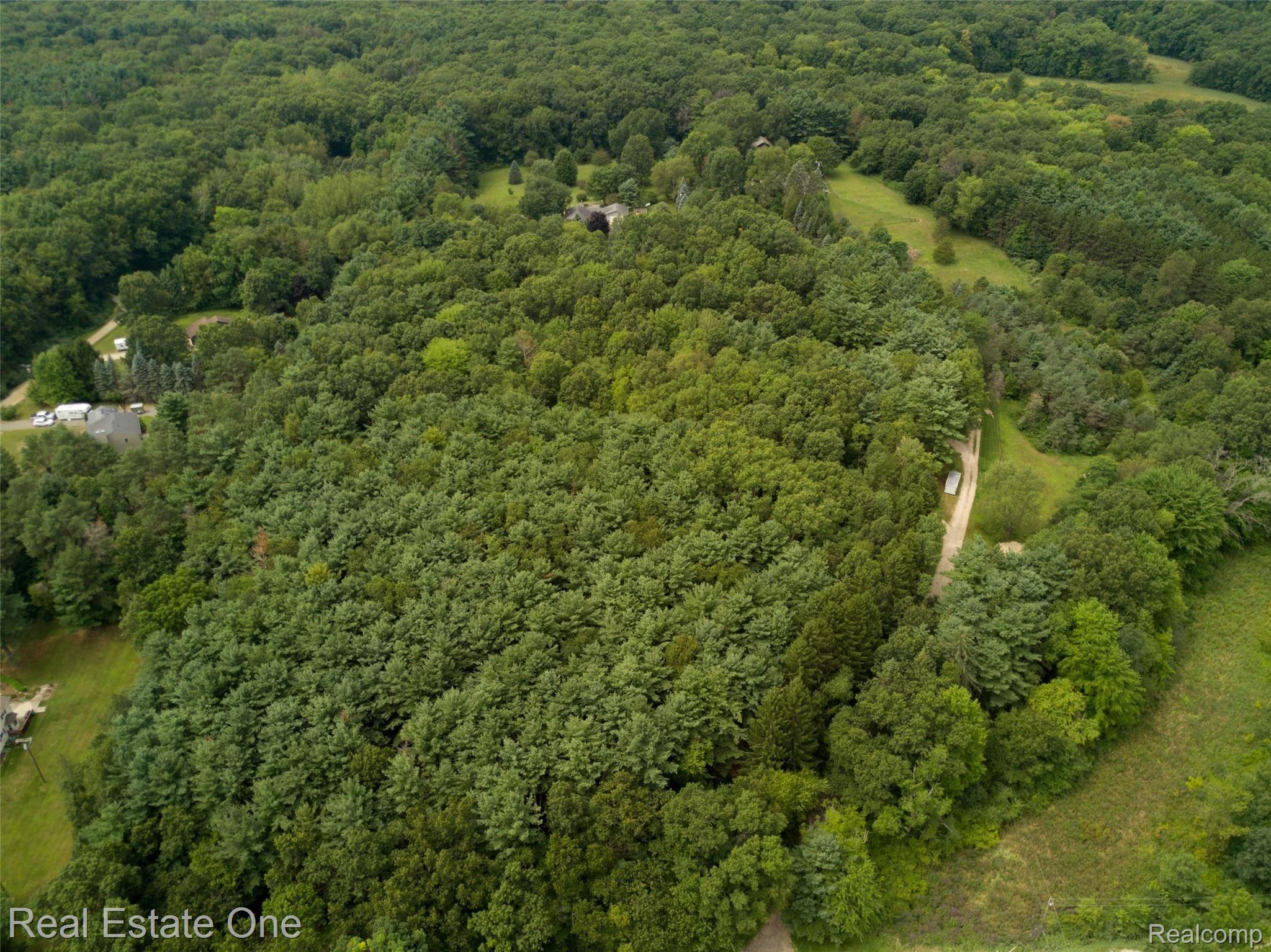 7112 Richardson Road Howell, MI 48843 - Photo 94 of 97 IMG-0846.jpg