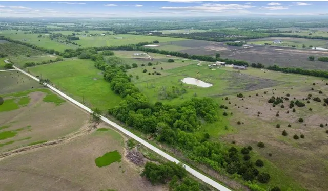 a view of a lush green forest