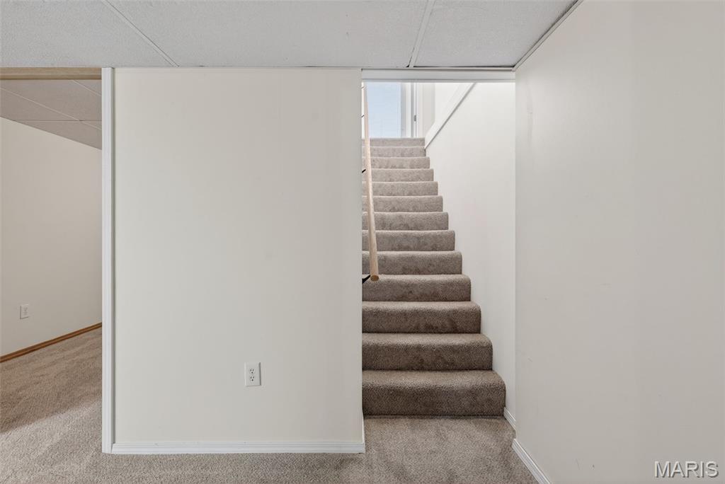 50 Sparrow Point Circle Fenton, MO 63026 - Photo 29 of 47