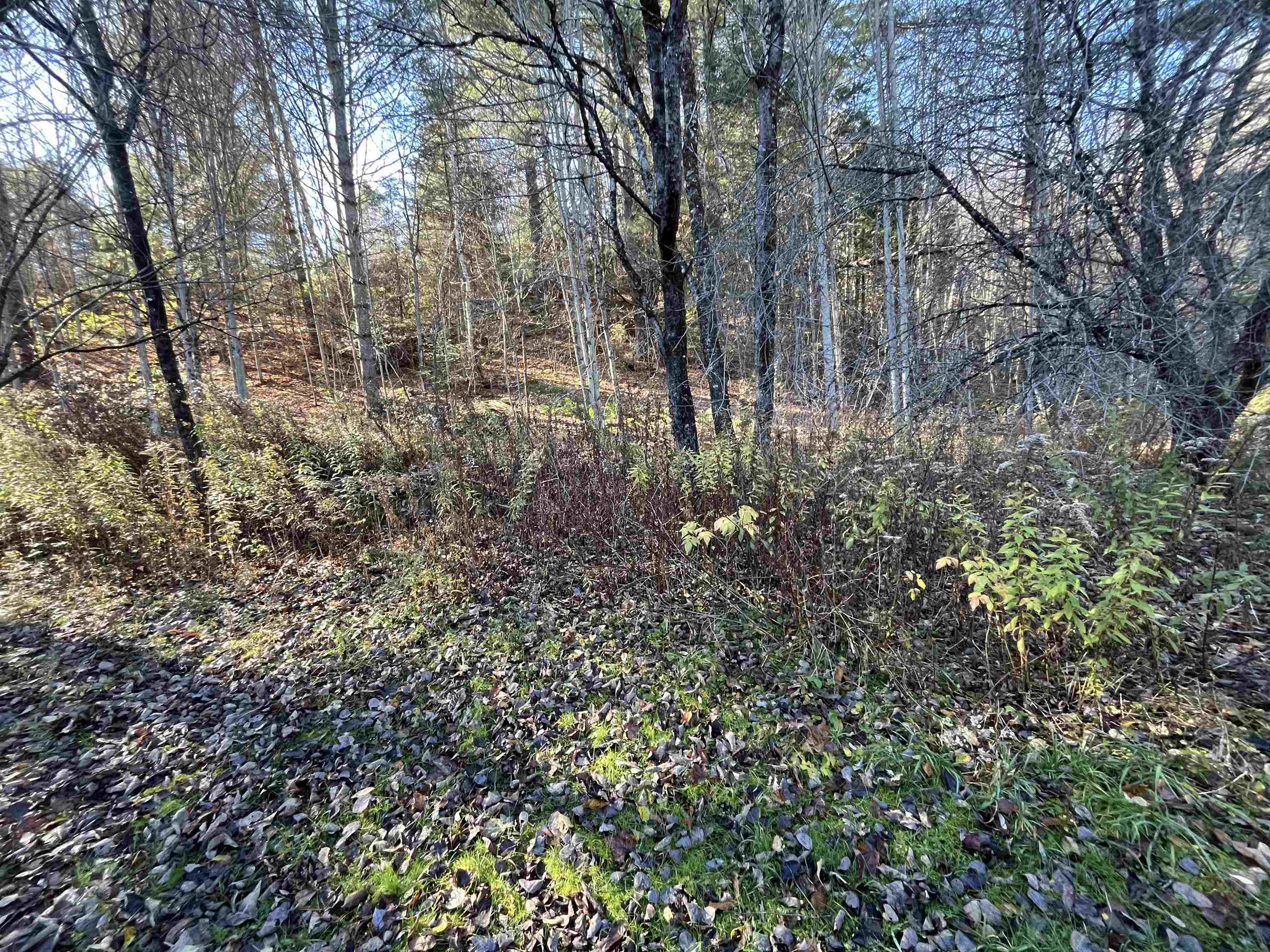 191 Shady Rill Road Middlesex, VT 05602 - Photo 27 of 29