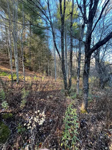 $125,000 | 191 Shady Rill Road, Middlesex, VT 05602