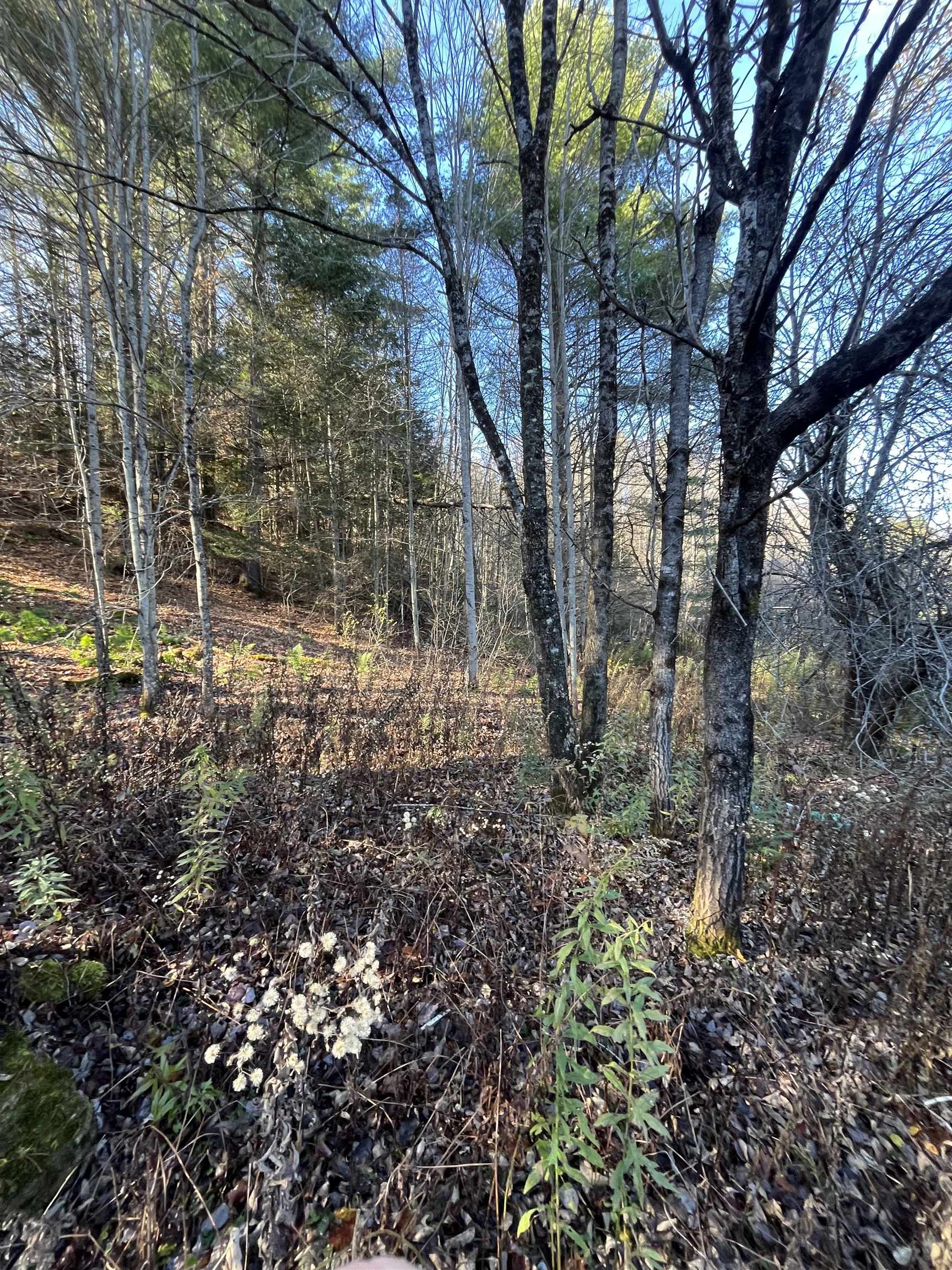 191 Shady Rill Road Middlesex, VT 05602 - Photo 28 of 29